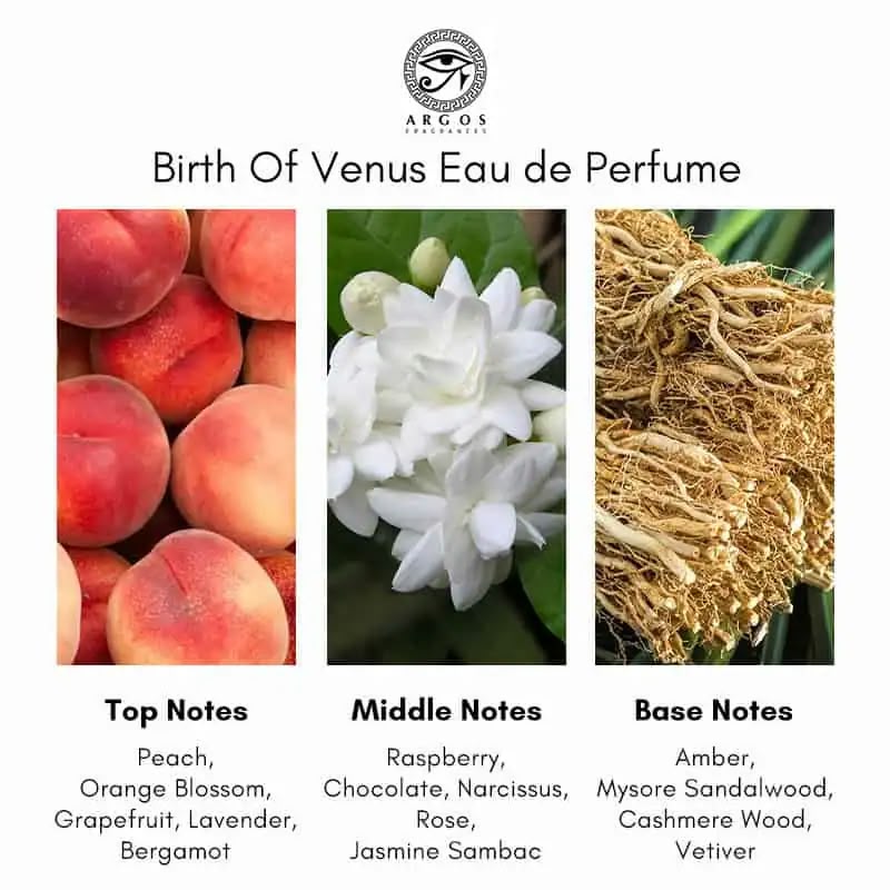 Birth of Venus by Argos Eau de Parfum – Full Bottle 100 ML - Women
