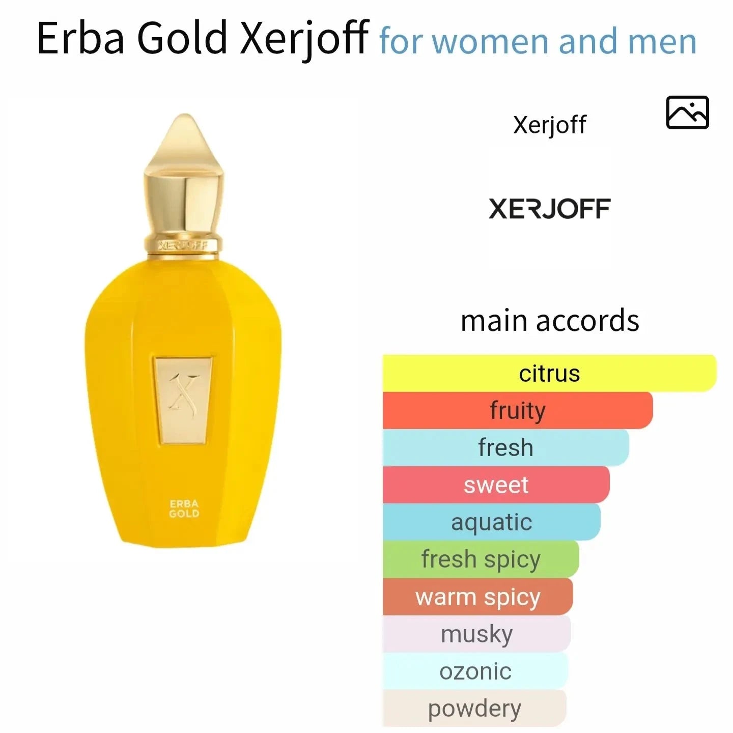 Erba Gold Xerjoff - citrus and fruity fragrance