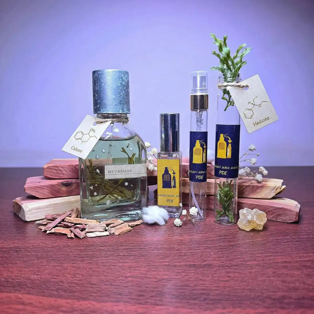 Megamare Orto Parisi - musky and marine fragrance