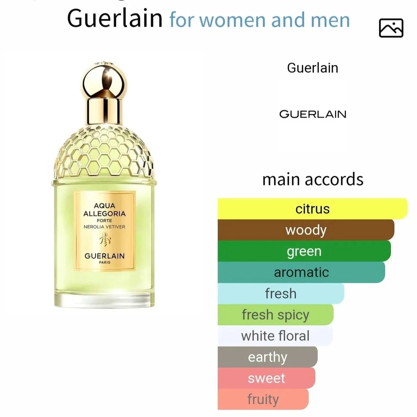Nerolia Vetiver Aqua Allegoria Forte Guerlain - citrus and woody-2 fragrance